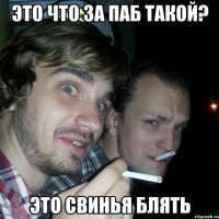 это что за паб такой? это свинья блять