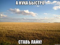 а нука быстро ставь лайк!