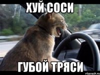 Хуй соси Губой тряси