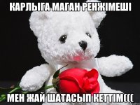 Карлыга маган ренжiмешi мен жай шатасып кеттiм(((