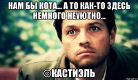 Нам бы кота... А то как-то здесь немного неуютно... ©Кастиэль