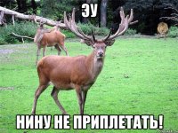 ЭУ Нину не приплетать!