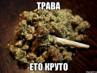 ТРАВА ЕТО КРУТО