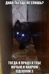 Диан,ты еще не спишь? Тогда я приду к тебе ночью,и накрою одеялом:3