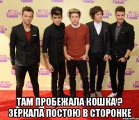  там пробежала кошка ? зеркала постою в сторонке