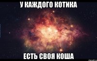 У каждого Котика есть своя Коша