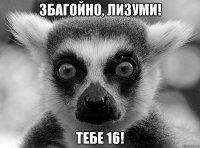 Збагойно, Лизуми! Тебе 16!