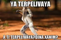 Ya terpelivaya A ti terpelivaya?Dina xanim?