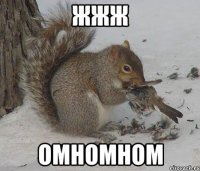 жжж омномном