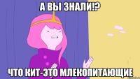 А вы знали!? Что кит-это млекопитающие