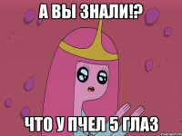 А вы знали!? Что у пчел 5 глаз