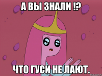А вы знали !? Что гуси не лают.