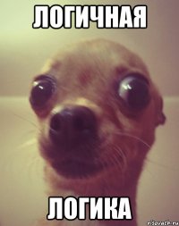 логичная логика