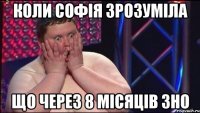коли софія зрозуміла що через 8 місяців зно