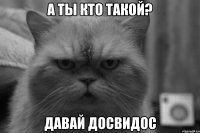 а ты кто такой? давай досвидос