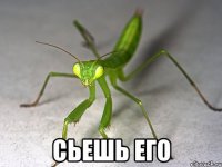  сьешь его