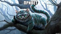 привет 