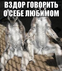 вздор говорить о себе любимом 