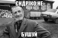 Єндріко не бушуй