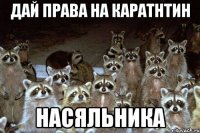 Дай права на каратнтин Насяльника