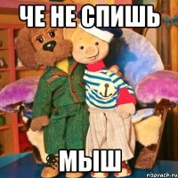 Че не спишь Мыш