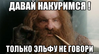 Давай накуримся ! только эльфу не говори