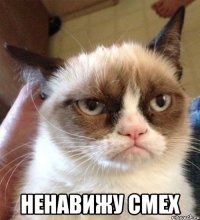  Ненавижу смех