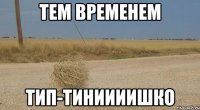 Тем временем тип-тиниииишко