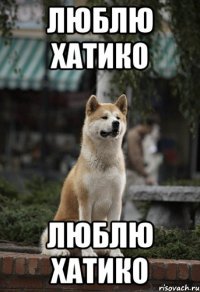 Люблю хатико Люблю хатико