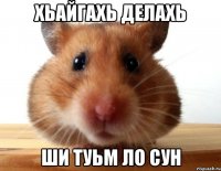 Хьайгахь делахь Ши туьм ло сун