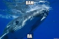 вам па
