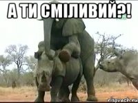 а ти сміливий?! 