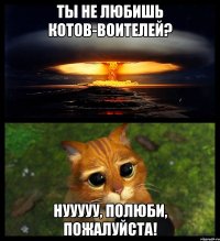 Ты не любишь Котов-Воителей? Нууууу, полюби, пожалуйста!