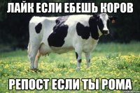 Лайк если ебешь коров Репост если ты Рома