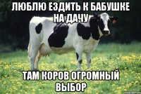 Люблю ездить к бабушке на дачу Там коров огромный выбор