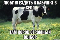 Люблю ездить к бабушке в село Там коров огромный выбор