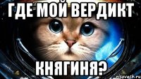 Где мой вердикт Княгиня?