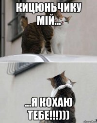КИЦЮНЬЧИКУ МІЙ... ...Я КОХАЮ ТЕБЕ!!!)))