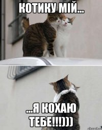 КОТИКУ МІЙ... ...Я КОХАЮ ТЕБЕ!!!)))