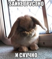 Зайке грустно и скучно