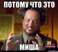 потому что это миша