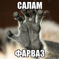 Салам Фарваз