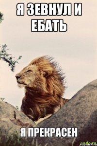 Я ЗЕВНУЛ И ЕБАТЬ 