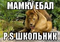Мамку ебал P.S Школьник