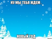 НУ МЫ ТЕБЯ ЖДЕМ , НОВЫЙ ГОД