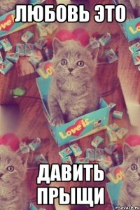 любовь это давить прыщи
