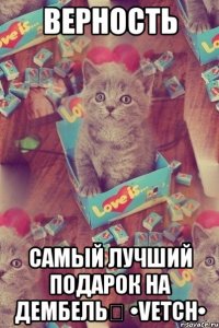 Верность Самый лучший подарок на дембель❤ •Vetch•