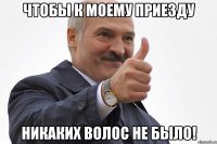 чтобы к моему приезду никаких волос не было!
