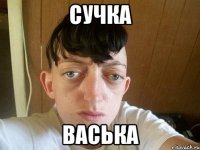 сучка Васька