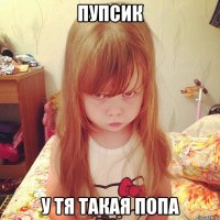 ПУПСИК У ТЯ ТАКАЯ ПОПА